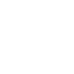 logo retz'aunée blanc